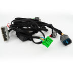 Honda 96-98 Civic K Swap Wiring Conversion Harness K Series K20 K24 Jumper EK US - Bull Boost Performance