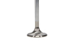 Manley Ford Racing Cylinder Head 4.6L & 5.4L SOHC 36.0mm Race Master Exhaust Valve (Single)