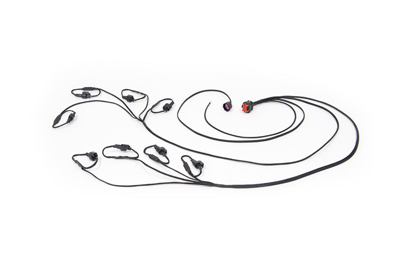 PROFLEX Commander for Dodge R/T Scat Pack and SRT 392 | Harness