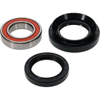 Pivot Works Premium Wheel Bearing