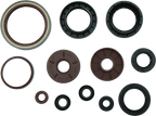 QuadBoss 09-10 Arctic Cat 1000 TRV Oil Seal Set