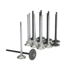 Skunk2 Honda K20C1 Alpha Series Intake & Exhaust Valve Set (Standard Compression)