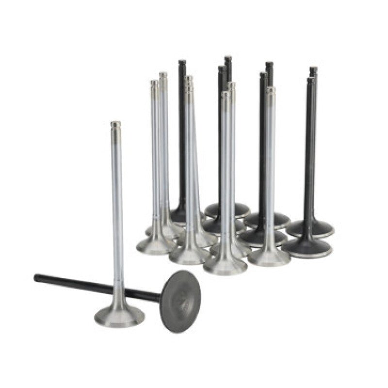 Skunk2 Honda K20C1 Alpha Series Intake & Exhaust Valve Set (Standard Compression)