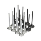 Skunk2 Honda K20C1 Alpha Series Intake & Exhaust Valve Set (Standard Compression)