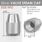 RT 007 Knurled Silver Valve Caps