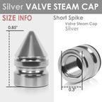 RT 011 Spiked Silver Valve Caps
