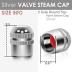 RT 162 Two Grip Round Top Silver Valve Caps