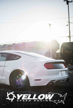 Dynamic Pro Sport Coilovers - Ford Mustang 2015-2023 (S550)