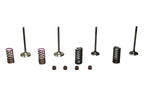 Wiseco 04-07 CRF250R Steel Valve Set