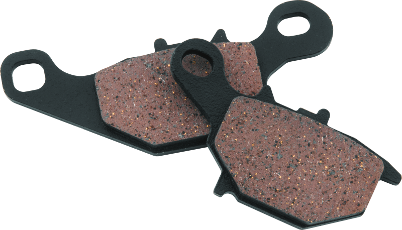 BikeMaster Kawasaki Brake Pads