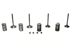 Wiseco 02-06 CRF450R Steel Valve Set