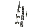 Wiseco 02-06 CRF450R Steel Valve Set