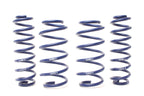 H&R 19-25 Toyota RAV4 (not Incl. Hybrid) Adventure Raising Spring