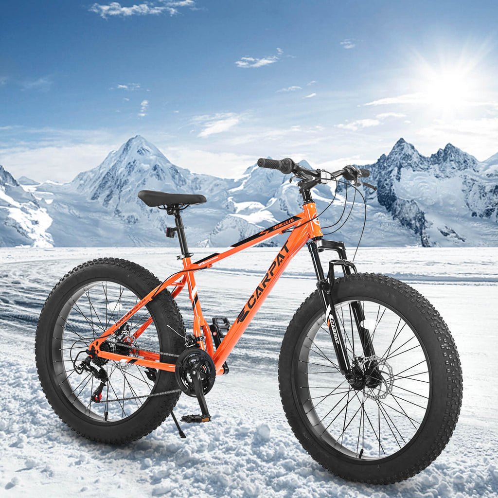 Ecarpat Elecony - 26"×4"
