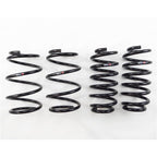 RS-R 10+ Lexus CT200h (ZWA10) Down Sus Springs