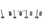 Wiseco 02-06 CRF450R Steel Valve Set