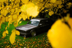 BMW E30 Series 3 Steady Style Front Grille and Headlights (1984 - 1991)