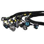 OB D Series B Series D1 Tucked Engine Harness Civic Si Type R CRX EM1 99-00 EK - Bull Boost Performance