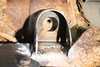 Rust Buster Avalanche/Suburban/Yukon Rear Body Frame Mount