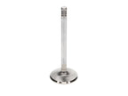 Manley Volkswagen 1.7L 40mm Dia 4.606in Length Race Series Exhaust Valve Kit