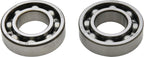 All Balls Racing Crank Bearing Kit