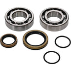 All Balls Racing Crank Bearing Kit