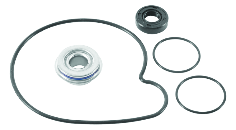 QuadBoss 16-19 Polaris ACE 900 SP/XC Water Pump Rebuild Kit