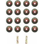 Fel-Pro Ford Focus SS 72889 Engine Valve Stem Oil Seal Set