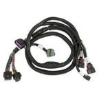 GM Gen V Gdi Late, Sub Harness