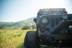 DV8 Offroad 07-18 Jeep Wrangler JK Fender Flare Deletes