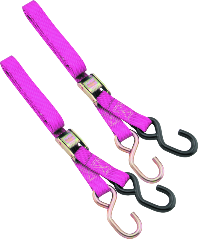 BikeMaster 1in Tiedown - Pink