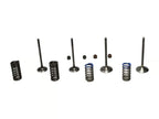 Wiseco 08-09 CRF250R Steel Valve Set