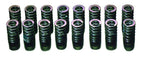 HKS 91-00 Infiniti G20 SR20DET Outer Valve Spring Set
