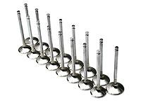 Brian Crower Honda H22 36mm Intake Valves