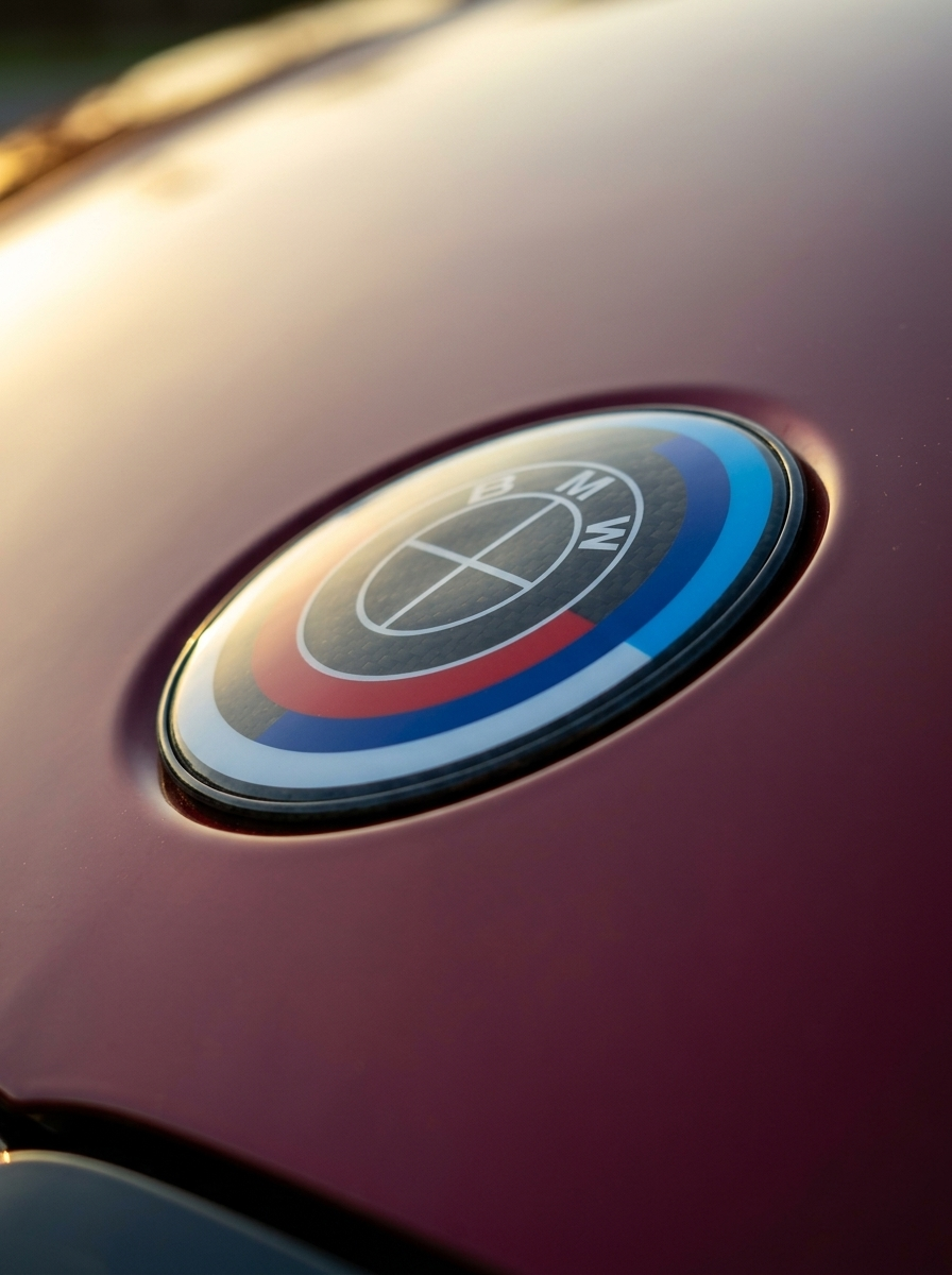 BMW Roundel Emblem Covers - Full Carbon Fiber