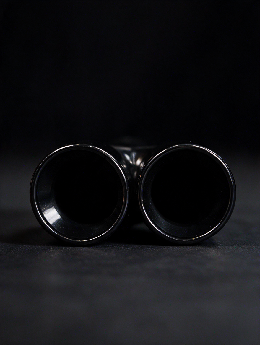 BMW 2/3/4 Series G42 G20/G21 G23 Black Stainless Steel Dual Muffler Tip (2019+)