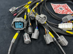 SPDZ1 OBD2 Budget D & B-Series Tucked Engine Harness Civic Integra B18/B16/D16/D15