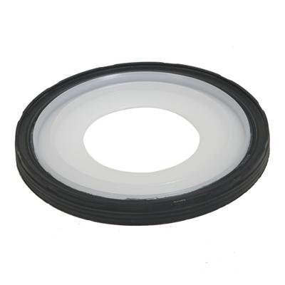 Corvette C5/6 Rear Main Seal & Rear Main Plate Seal Set