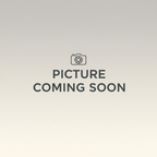 2019-2026 Can-Am Ryker Sidewinder Series Exhaust by RLS Exhaust