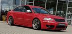 Rieger VW Passat(3B) Side Skirts V2