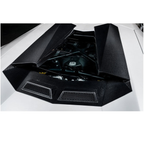 NT Style Dry Carbon Fiber Engine Bonnet Air Intake Panel for Lamborghini Aventador - Bull Boost Performance