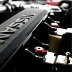 ZSPEC "Stage 3" Dress Up Bolts® Fastener Kit for '22+ Nissan Frontier D41, Stainless & Billet
