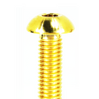 ZSPEC Button-Head Body Kit Fastener, M5x25mm w/ Rivet Nut, Titanium, Per Each
