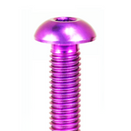 ZSPEC Button-Head Body Kit Fastener, M5x20mm w/ Rivet Nut, Titanium, Per Each