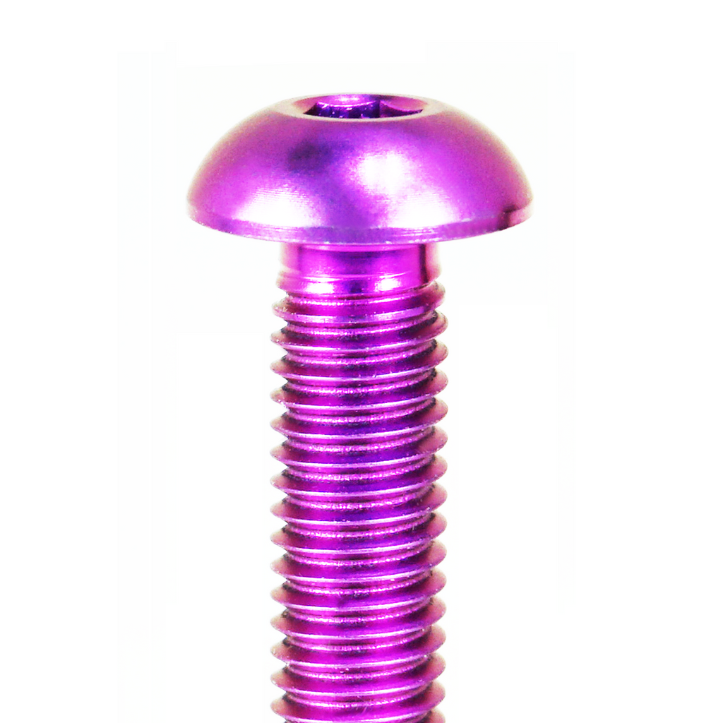 ZSPEC Button-Head Body Kit Fastener, M5x25mm w/ Well Nut, Titanium, per Each