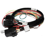 FAST Harness FAST Fan And Fuel Pump FAST Wiring Harnesses