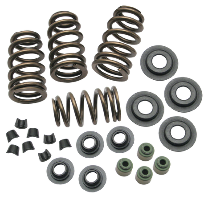 S&S Cycle 04-19 XL Valve Spring Kit - .650in