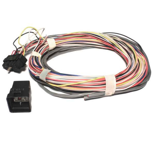 FAST Wiring Harness W/Relay FAST FAST Wiring Harnesses