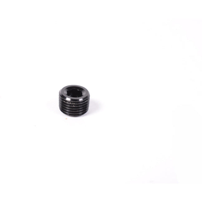 Radium Engineering 1/8in NPT Plug Radium Engineering Fittings