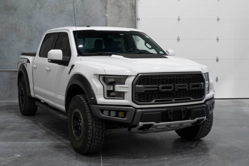 Diode Dynamics 17-20 Ford Raptor SS3 LED Fog Light Kit - White Pro